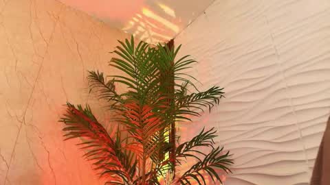 anton__monacu online show from 11/25/25, 03:50