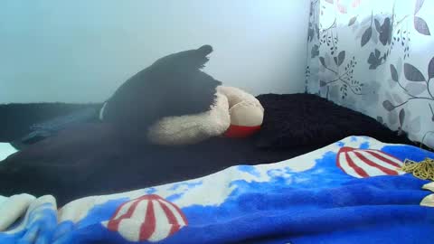 ANTONELLA WILLIAM  INDEPENDIENTE online show from 02/05/25, 05:09