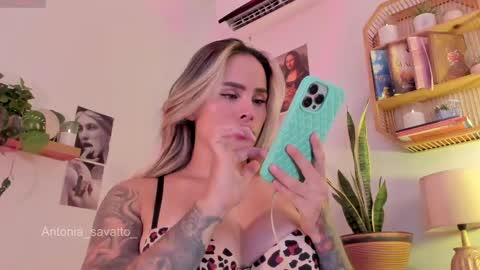 o ANTO online show from 04/11/26, 09:08