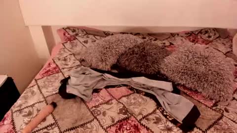 antoniasalas online show from 06/14/26, 02:24