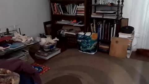 Snapshot of antonino85 chatting on 12/24/24, 07:11 antonino85 online show from 12/24/24, 07:11