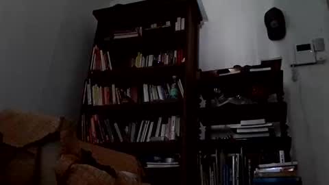 Snapshot of antonino85 chatting on 03/01/25, 07:37 antonino85 online show from 03/01/25, 07:37