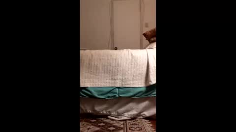 Snapshot of antonino85 chatting on 03/19/26, 11:09 antonino85 online show from 03/19/26, 11:09