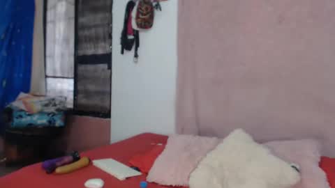 Snapshot of antony_2024 chatting on 01/08/25, 09:01 karol y antony online show from 01/08/25, 09:01