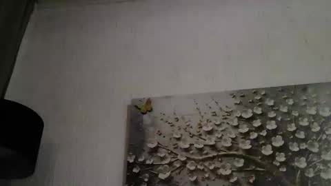 Snapshot of anybigtitts chatting on 03/01/26, 04:42 AnyBigTitts online show from 03/01/26, 04:42