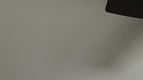 anydaynow2024 online show from 12/15/25, 05:39