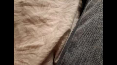 Daddy online show from 11/17/25, 08:47