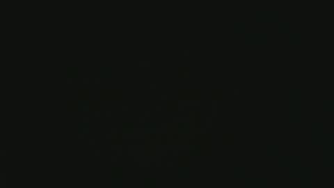 apollonfitx_69 online show from 01/31/25, 11:13