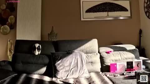 apollonfitx_69 online show from 02/01/26, 01:53