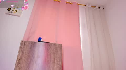 April  online show from 02/24/25, 03:42