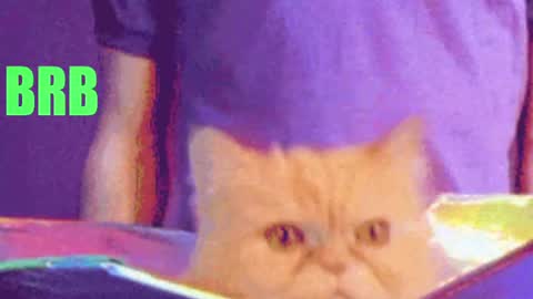 aprill_o_nill online show from 04/17/26, 03:26