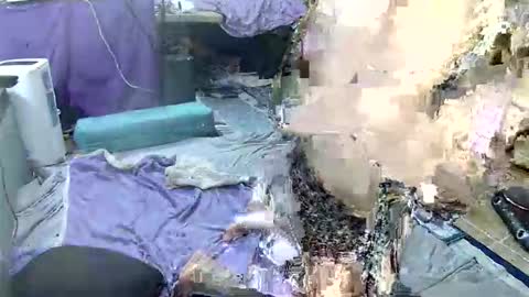 aquafoxxy online show from 03/02/26, 05:08