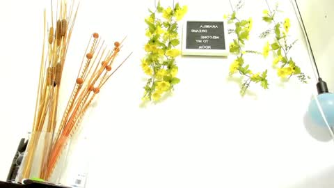 ARABELA online show from 01/19/25, 01:21