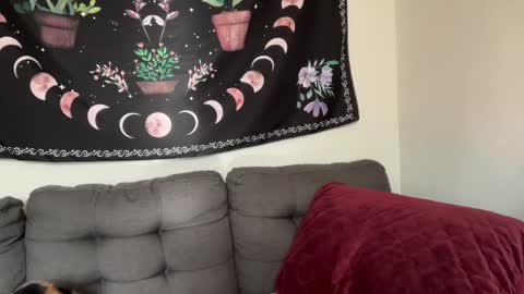 Aria Fields online show from 12/04/24, 05:33