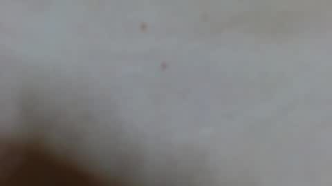 Ariana lvarez online show from 02/02/25, 04:15