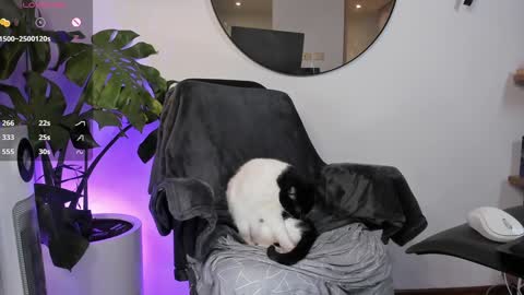 DaniAri - dimension X at night NY time online show from 01/28/25, 03:47