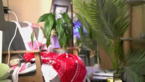 Olivka online show from 04/18/26, 09:35