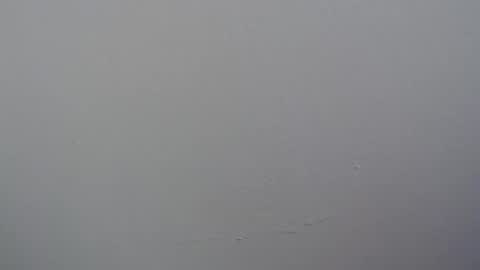 ariannaloovel online show from 04/11/26, 06:01