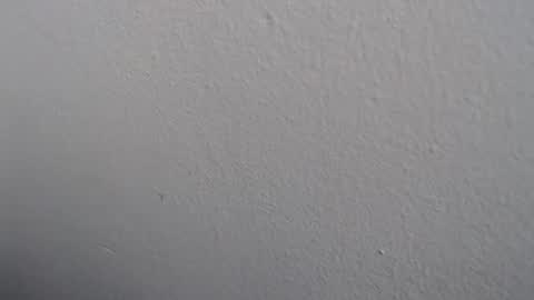 Snapshot of ariannaloovel chatting on 05/27/26, 03:09 ariannaloovel online show from 05/27/26, 03:09