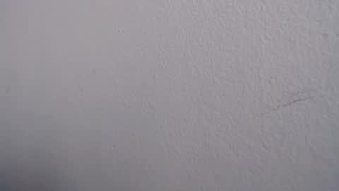 Snapshot of ariannaloovel chatting on 06/13/26, 05:22 ariannaloovel online show from 06/13/26, 05:22