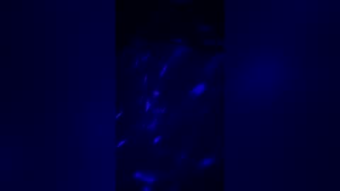 Snapshot of arielanne chatting on 07/30/26, 03:27 arielanne online show from 07/30/26, 03:27