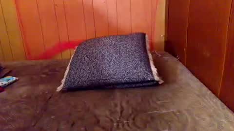 ariellejade06 online show from 02/19/26, 06:26