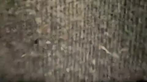 airskiii online show from 01/06/25, 04:26