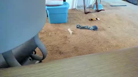 armalite16 online show from 10/12/25, 01:32