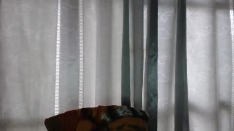 ARMANDO online show from 12/16/25, 05:07