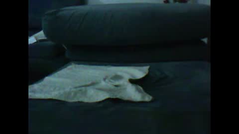 Snapshot of artanm2 chatting on 01/09/25, 06:47 natra online show from 01/09/25, 06:47