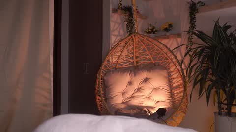 Snapshot of artemia_ chatting on 02/23/25, 01:46 Amanda online show from 02/23/25, 01:46