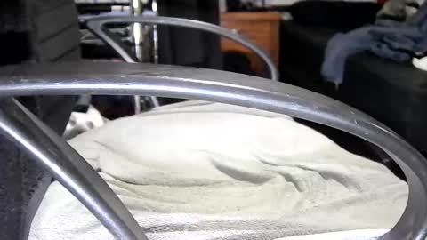 arucard_80 online show from 09/16/25, 07:48