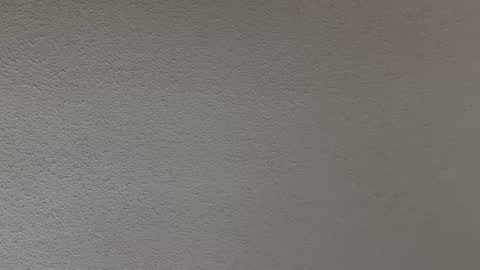 Snapshot of ash123400000 chatting on 02/12/26, 10:27 ash123400000 online show from 02/12/26, 10:27