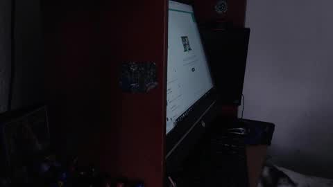 Snapshot of ash_v1 chatting on 02/11/25, 06:44 Ash online show from 02/11/25, 06:44