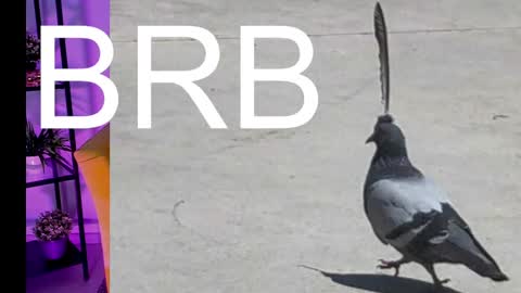 AshleyAshe  online show from 03/07/25, 05:08