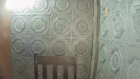 asian_nova online show from 01/12/26, 05:34