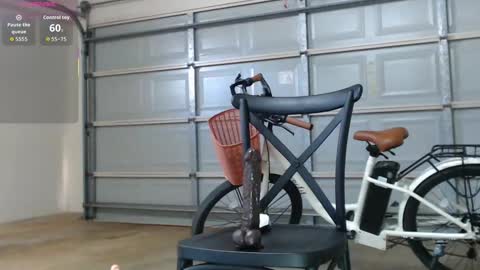 Snapshot of asianpina chatting on 12/15/25, 03:55 Anne online show from 12/15/25, 03:55