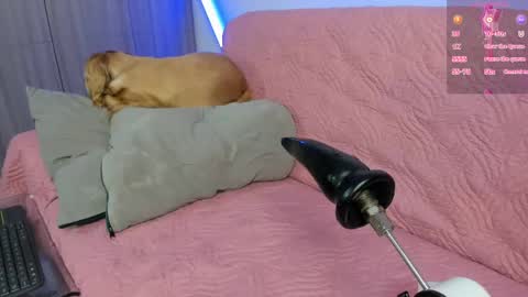 Atalaya  - Jack online show from 04/25/26, 04:59