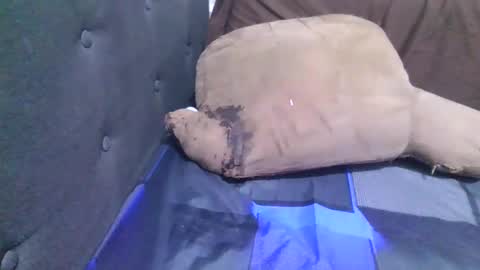 A online show from 11/12/25, 06:41