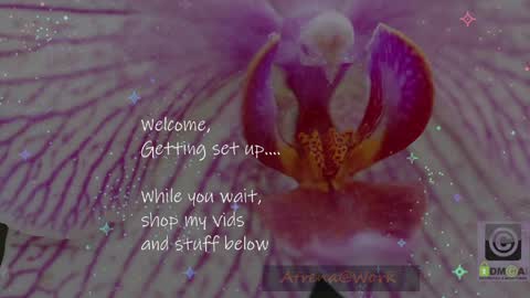 Atrena online show from 04/14/26, 02:39