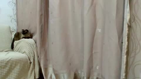 Snapshot of aurora_breeze chatting on 02/25/26, 02:48 Kiara Xanthe online show from 02/25/26, 02:48