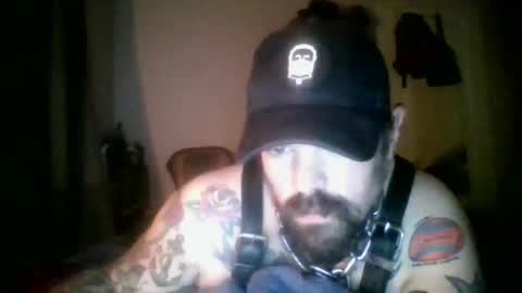 aussiesubf4gg0tinscotland online show from 03/07/26, 08:50