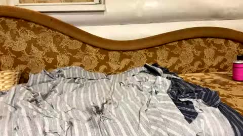 automaria online show from 07/21/26, 10:39