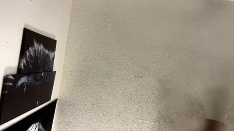 Lily  Orion online show from 02/05/25, 01:37