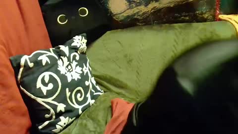 raven blue online show from 02/20/25, 02:46