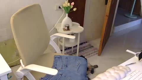 Rhian online show from 11/21/25, 03:05