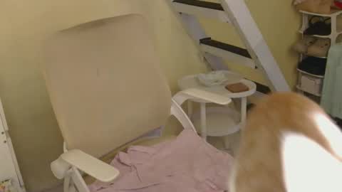 Rhian online show from 02/16/26, 03:24