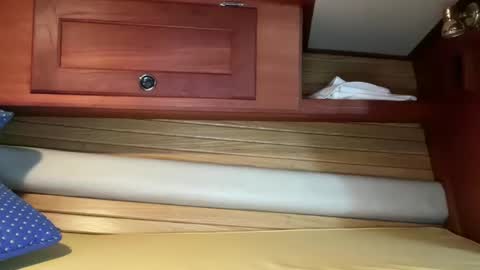 Snapshot of avgdiver chatting on 10/27/25, 04:55 avgdiver online show from 10/27/25, 04:55