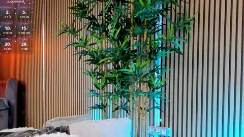 Snapshot of avrillcyrux chatting on 01/28/25, 11:49 AVRILL CYRUX online show from 01/28/25, 11:49