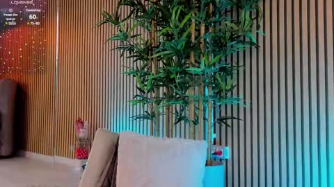 Snapshot of avrillcyrux chatting on 03/05/25, 02:45 AVRILL CYRUX online show from 03/05/25, 02:45